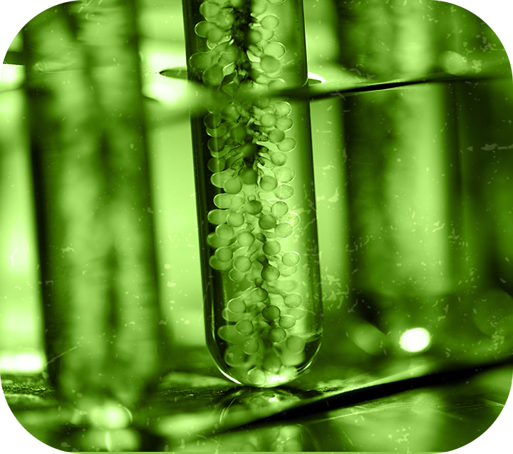 zdjęcie strony głownej