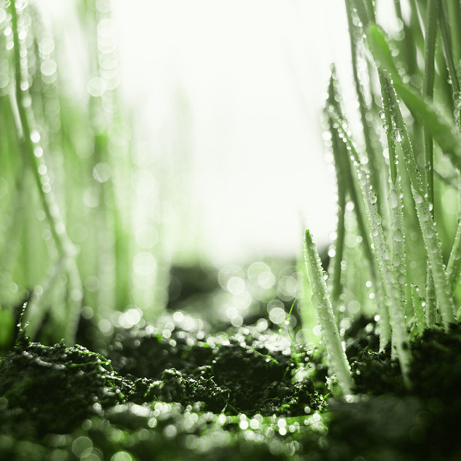 miniaturka badania azotu