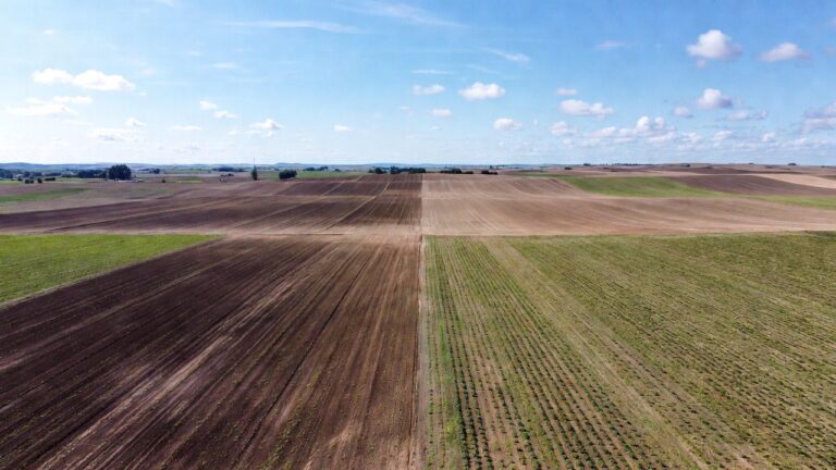 Aerialne zdjęcie pola podzielonego na połowy: lewa strona to zaorana ziemia bez roślin, prawa to bujna zielona uprawa, symbolizujące różnice w nawożeniu.