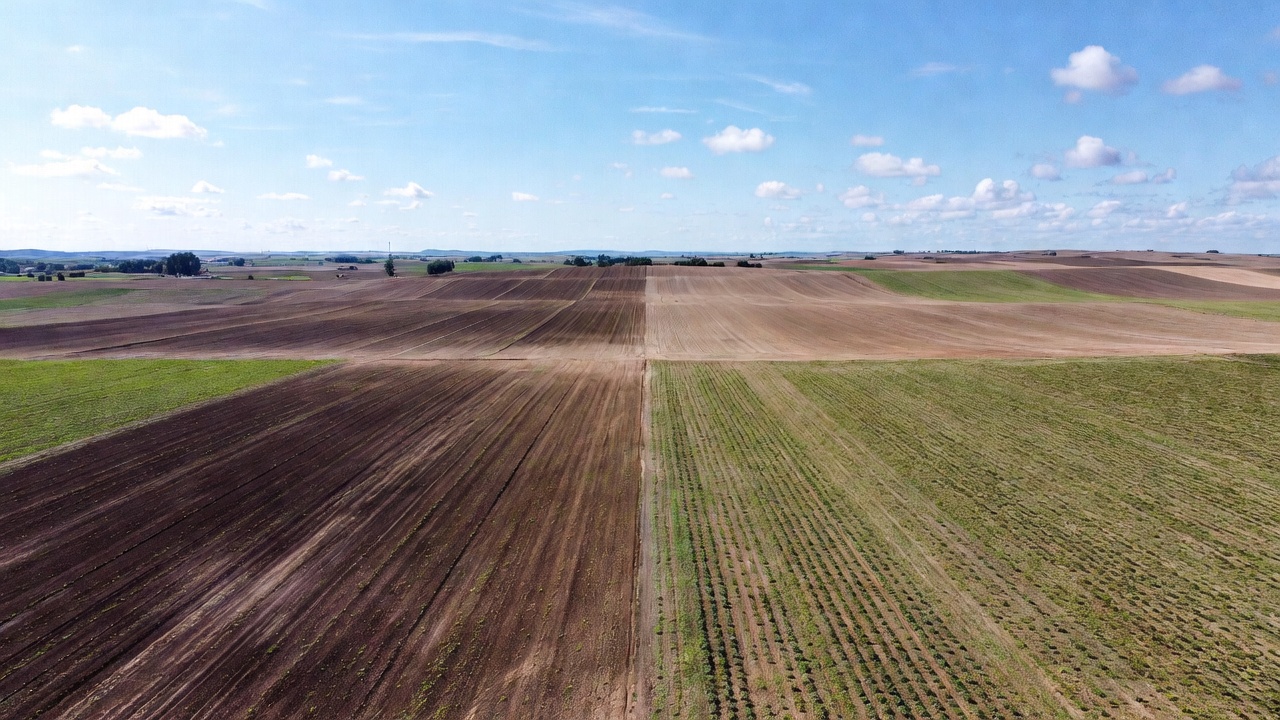 Aerialne zdjęcie pola podzielonego na połowy: lewa strona to zaorana ziemia bez roślin, prawa to bujna zielona uprawa, symbolizujące różnice w nawożeniu.
