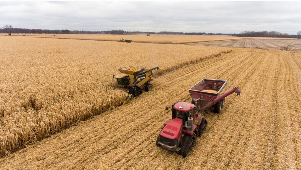 Widok z lotu ptaka na żółty kombajn LEXION i czerwony traktor z wozem zbożowym podczas zbioru złotej kukurydzy na rozległym polu pod pochmurnym niebem.