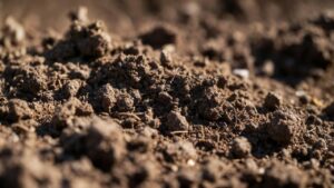 Zbliżenie na kupkę urodzajnej gleby z organicznymi elementami w naturalnym otoczeniu.