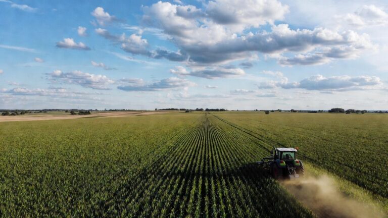 Zdjęcie lotnicze zielonego pola z rzędami upraw, na którym traktor porusza się, wzbijając kurz, pod błękitnym niebem z chmurami