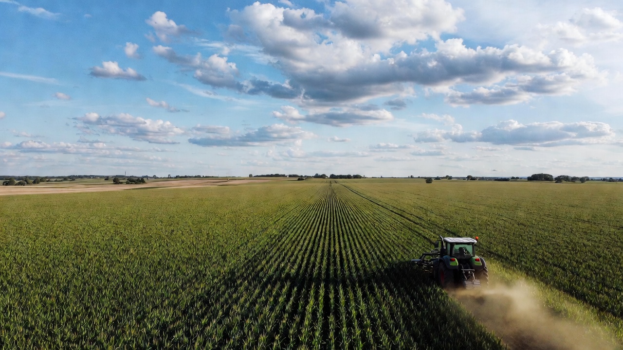 Zdjęcie lotnicze zielonego pola z rzędami upraw, na którym traktor porusza się, wzbijając kurz, pod błękitnym niebem z chmurami